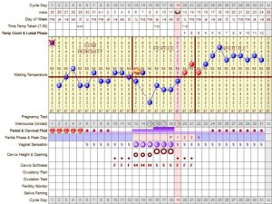 AnchorTTCchart15.2web.JPG