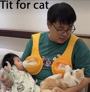 Tit for Cat.png