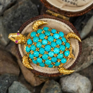 Turquoise Turtle.jpg