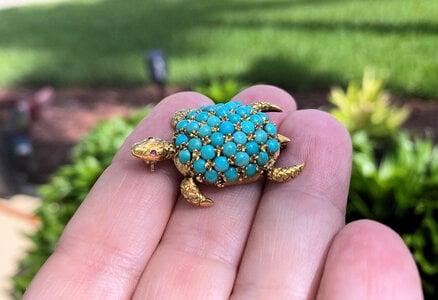 Turquoise Turtle4.jpg