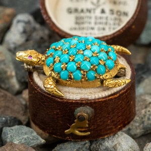 Turquoise Turtle2.jpg