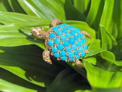 Turquoise Turtle5.jpg