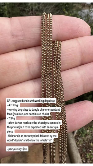 long guard chain.jpg