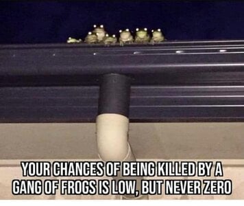 killerfrogs.jpg