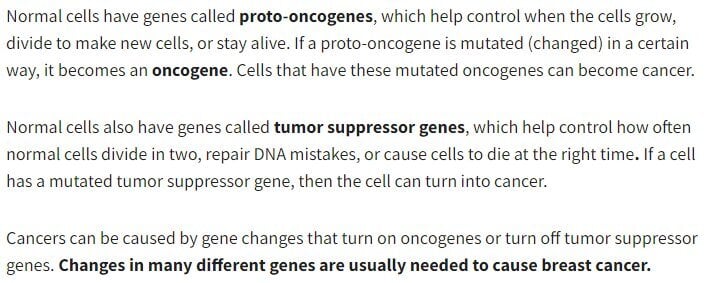 normalcells.jpg