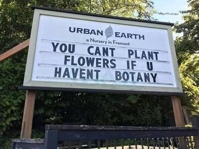 BOTANY.jpg