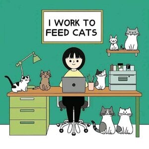 workingtofeedcats.jpg