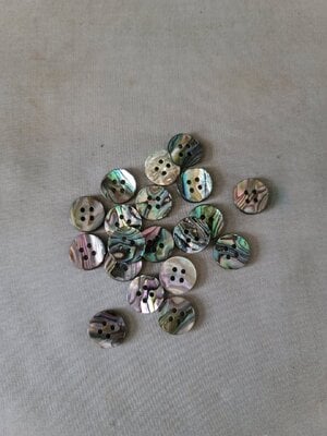 Abalone shell buttons