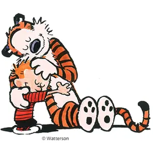  calvinandhobbes.webp