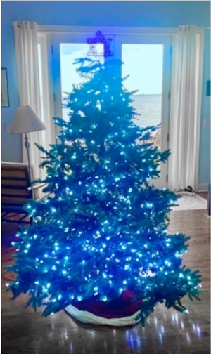 christmastreewithjewishstar.png