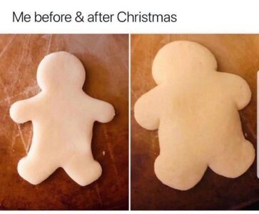 BEFOREANDAFTERCHRISTMAS.jpg