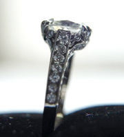 E-ring front side small.jpg