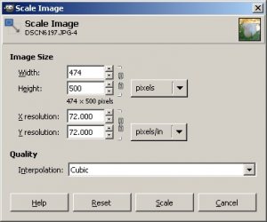 gimpresizedialog.jpg