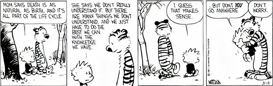 calvin-and-hobbes-death-explained.webp