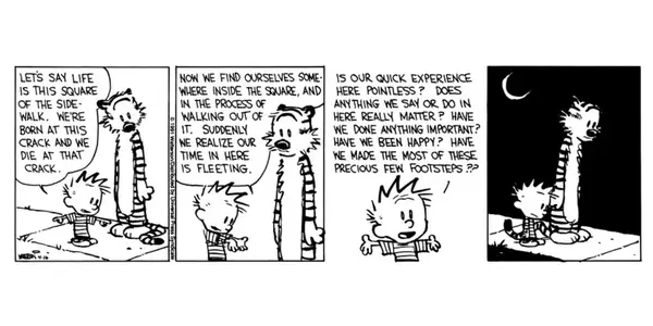 calvin-and-hobbes-calvin-and-hobbes-grapple-with-the-concepts-of-life-on-a-sidewalk.webp