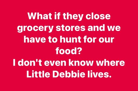 littledebbie.jpeg