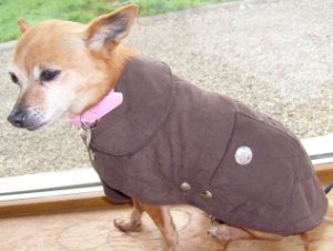 doggie8muckingoutcoat.jpg