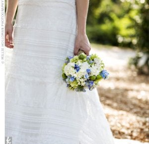 white & green hydrangea.jpg