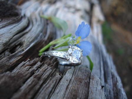 IWPO Flower photo A. Jaffe Hand Engraved