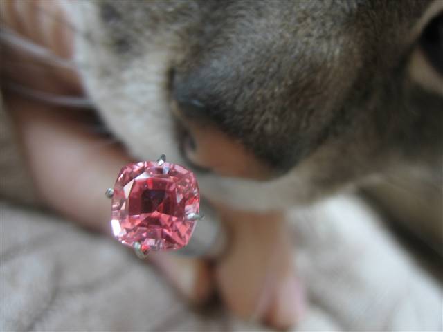 LaurenThePartier's 2.03 ct. Cushion Padparadscha