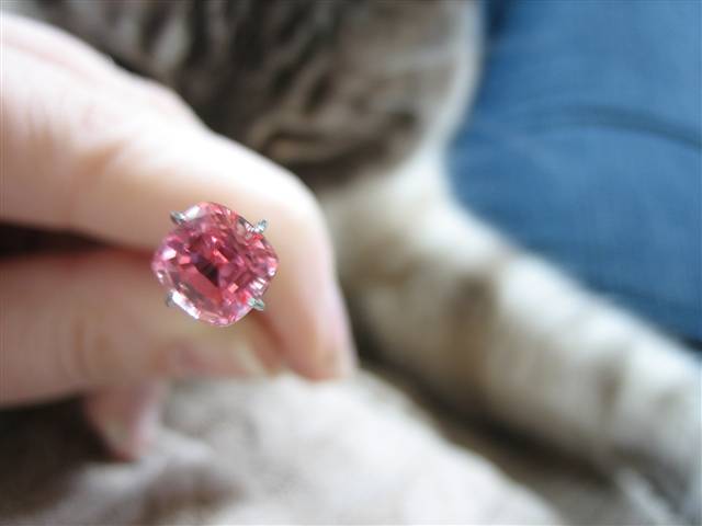 LaurenThePartier's 2.03 ct. Cushion Padparadscha