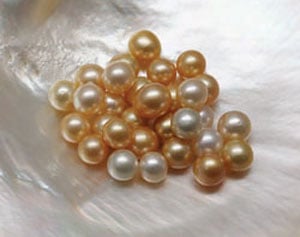 G&G Winter 2012 Pearls