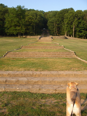 stairclimbhike1.jpg