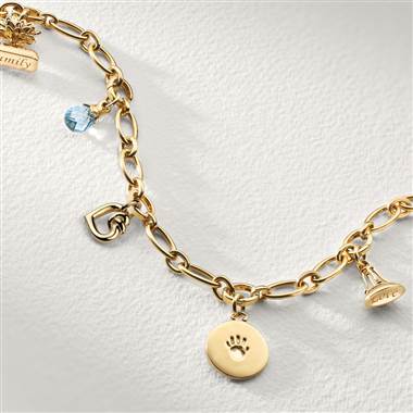 Five charm family heirloom bracelet set in 18K yellow gold at Blue Nile