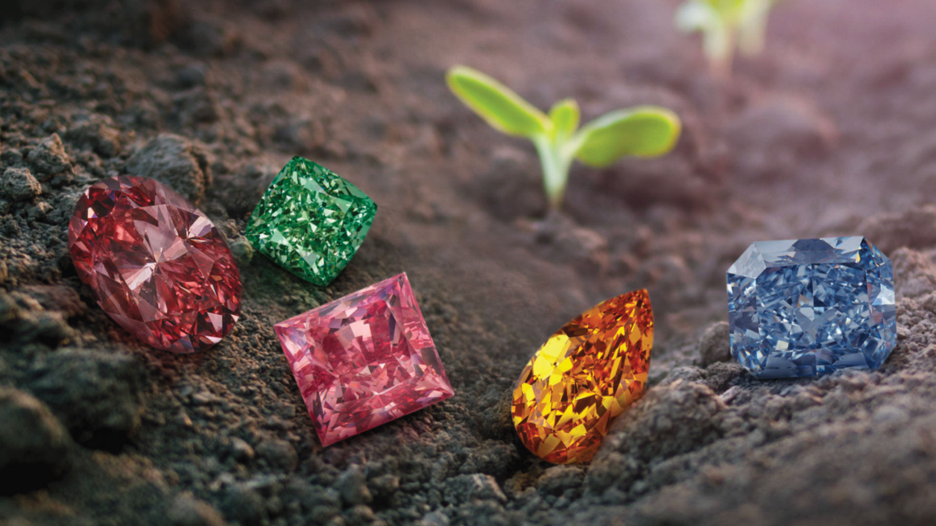 6 Most Expensive Fancy Color Diamonds