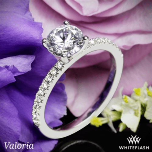 14K White Gold Valoria Petite Pave Diamond Engagement Ring at Whiteflash