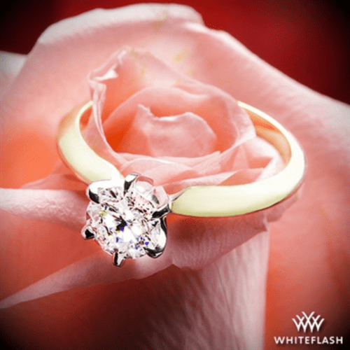 18k Yellow Gold Classic 6 Prong Solitaire Engagement Ring with Platinum Head at Whiteflash