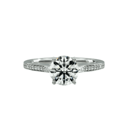 Platinum Pavé Adorned Cathedral Engagement Ring